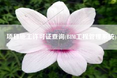 项目施工许可证查询(BIM工程管理系统)