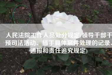 人民法院工作人员处分规定(领导干部干预司法活动、插手具体案件处理的记录、通报和责任追究规定)