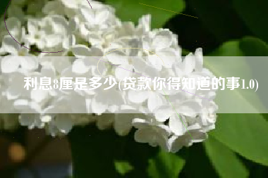 利息8厘是多少(贷款你得知道的事1.0)