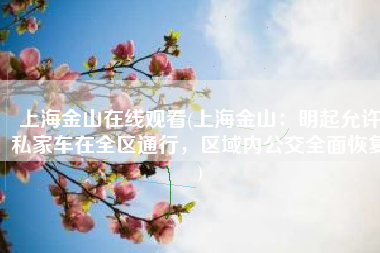 上海金山在线观看(上海金山：明起允许私家车在全区通行，区域内公交全面恢复)
