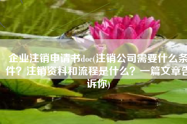企业注销申请书doc(注销公司需要什么条件？注销资料和流程是什么？一篇文章告诉你)
