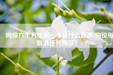 拘役六个月缓刑一年是什么意思(拘役刑取消还判拘役？)
