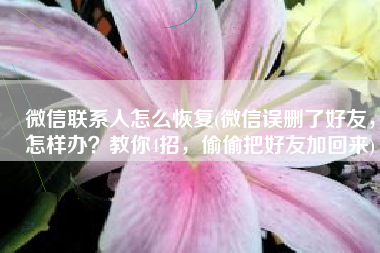 微信联系人怎么恢复(微信误删了好友，怎样办？教你4招，偷偷把好友加回来)