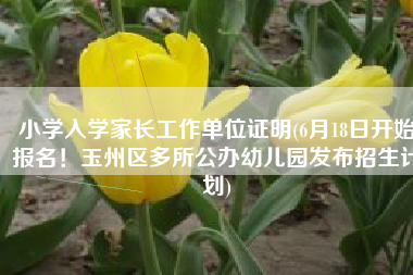 小学入学家长工作单位证明(6月18日开始报名！玉州区多所公办幼儿园发布招生计划)