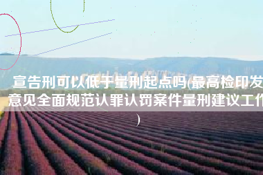 宣告刑可以低于量刑起点吗(最高检印发意见全面规范认罪认罚案件量刑建议工作)