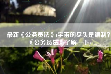 最新《公务员法》(宇宙的尽头是编制？《公务员法》了解一下)