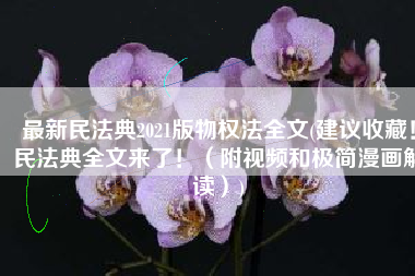 最新民法典2021版物权法全文(建议收藏！民法典全文来了！（附视频和极简漫画解读）)