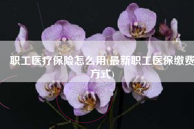 职工医疗保险怎么用(最新职工医保缴费方式)