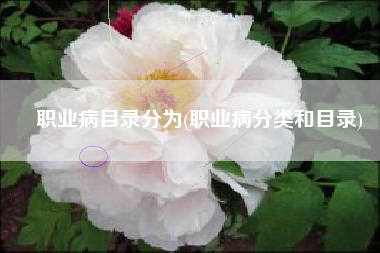 职业病目录分为(职业病分类和目录)