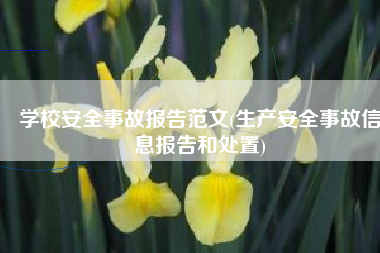 学校安全事故报告范文(生产安全事故信息报告和处置)