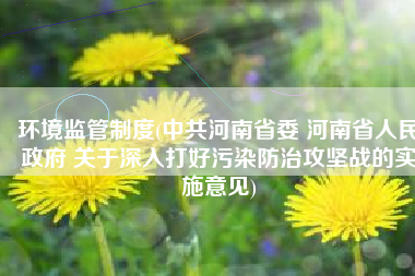 环境监管制度(中共河南省委 河南省人民政府 关于深入打好污染防治攻坚战的实施意见)