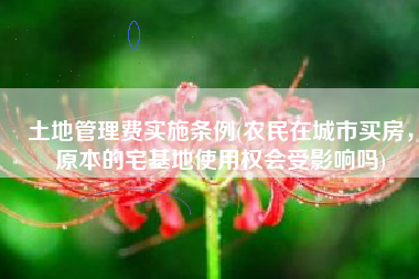 土地管理费实施条例(农民在城市买房，原本的宅基地使用权会受影响吗)
