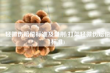 轻微伤赔偿标准及量刑(打架轻微伤赔偿标准)