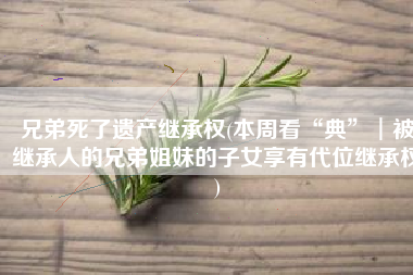 兄弟死了遗产继承权(本周看“典”︱被继承人的兄弟姐妹的子女享有代位继承权)