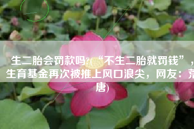 生二胎会罚款吗?(“不生二胎就罚钱”，生育基金再次被推上风口浪尖，网友：荒唐)
