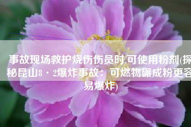 事故现场救护烧伤伤员时,可使用粉剂(探秘昆山8·2爆炸事故：可燃物碾成粉更容易爆炸)
