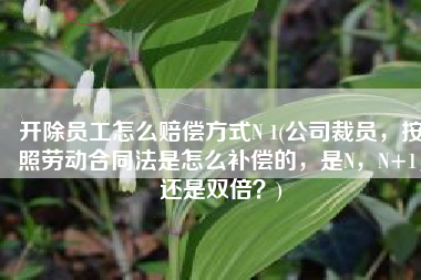 开除员工怎么赔偿方式N 1(公司裁员，按照劳动合同法是怎么补偿的，是N，N+1，还是双倍？)