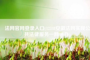 法网官网登录入口(12348安徽法网实现公共法律服务一网通办)