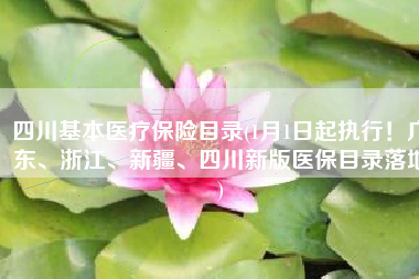 四川基本医疗保险目录(1月1日起执行！广东、浙江、新疆、四川新版医保目录落地)