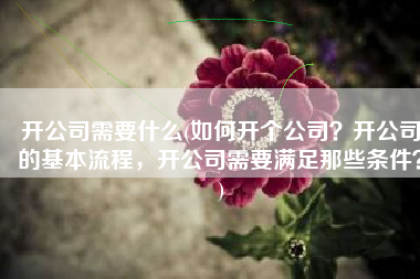 开公司需要什么(如何开个公司？开公司的基本流程，开公司需要满足那些条件？)