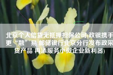 北京个人信贷无抵押担保公司(政银携手更“融”易 邮储银行北京分行发布政采贷产品 再添服务小微企业新利器)