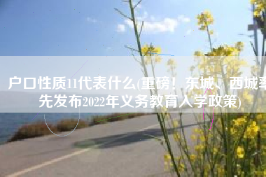 户口性质11代表什么(重磅！东城、西城率先发布2022年义务教育入学政策)