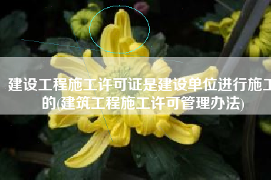 建设工程施工许可证是建设单位进行施工的(建筑工程施工许可管理办法)