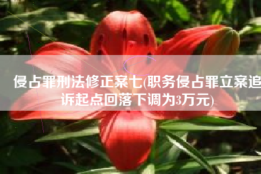 侵占罪刑法修正案七(职务侵占罪立案追诉起点回落下调为3万元)