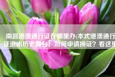 南昌港澳通行证在哪里办(本式港澳通行证退出历史舞台！如何申请换证？看这里)