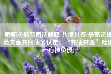 婚姻法最新司法解释 共债共签(最高法规范夫妻共同债务认定：“共债共签”杜绝一方被负债)