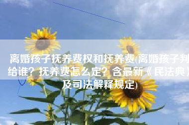 离婚孩子抚养费权和抚养费(离婚孩子判给谁？抚养费怎么定？含最新《民法典》及司法解释规定)