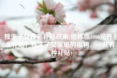 独生子女养老补贴政策(退休领5000元养老金补贴？独生子女家庭的福利，一共有5种补贴)