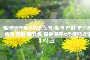 婚假请假条内容怎么写(婚假 产假 年休假 病假 事假 哺乳假 探亲假等23类假期规定和待遇)