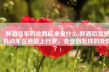 醉酒驾车的处罚标准是什么(醉酒后驾驶机动车在道路上行驶，会受到怎样的处罚？)