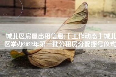 城北区房屋出租信息(【工作动态】城北区举办2022年第一批公租房分配摇号仪式)