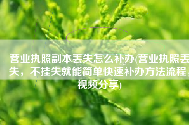 营业执照副本丢失怎么补办(营业执照丢失，不挂失就能简单快速补办方法流程，视频分享)
