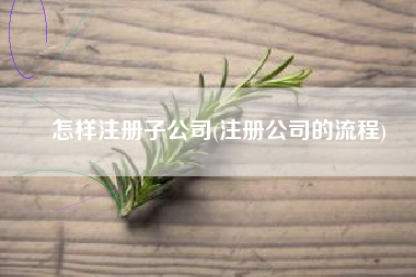 怎样注册子公司(注册公司的流程)