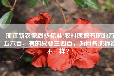 浙江新农保缴费标准(农村医保有的地方五六百，有的只要三四百，为何各地标准不一样？)