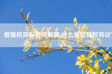 管辖权异议名词解释(什么是管辖权异议？)