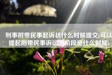 刑事附带民事起诉状什么时候提交(可以提起附带民事诉讼的阶段是什么时候)
