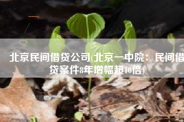 北京民间借贷公司(北京一中院：民间借贷案件8年增幅超10倍)