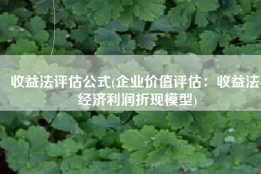 收益法评估公式(企业价值评估：收益法-经济利润折现模型)