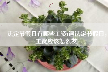法定节假日有哪些工资(遇法定节假日，工资应该怎么发)