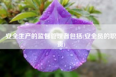 安全生产的监督管理者包括(安全员的职责)
