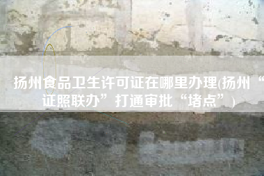 扬州食品卫生许可证在哪里办理(扬州“证照联办”打通审批“堵点”)
