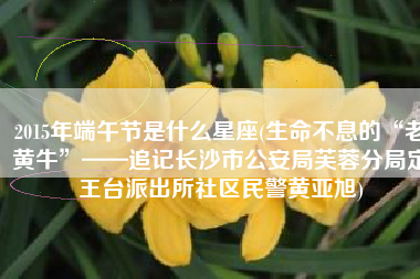 2015年端午节是什么星座(生命不息的“老黄牛”——追记长沙市公安局芙蓉分局定王台派出所社区民警黄亚旭)