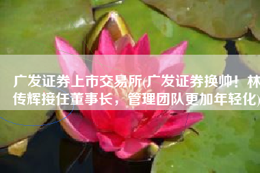 广发证券上市交易所(广发证券换帅！林传辉接任董事长，管理团队更加年轻化)