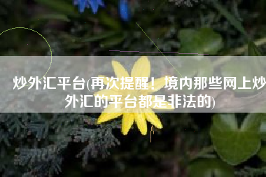 炒外汇平台(再次提醒！境内那些网上炒外汇的平台都是非法的)