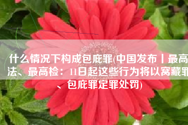 什么情况下构成包庇罪(中国发布丨最高法、最高检：11日起这些行为将以窝藏罪、包庇罪定罪处罚)