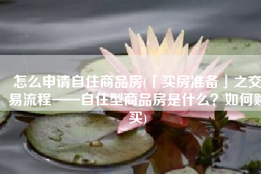 怎么申请自住商品房(「买房准备」之交易流程——自住型商品房是什么？如何购买)